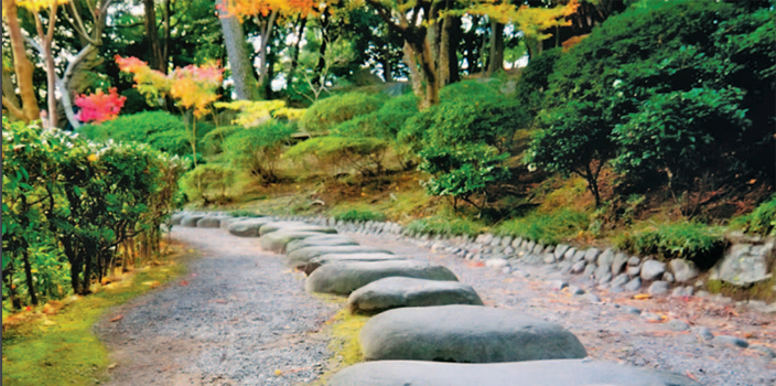 Rock pathway through a landscape