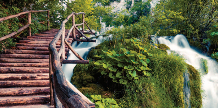 Photo of a log staircase leading to the top of a waterfall