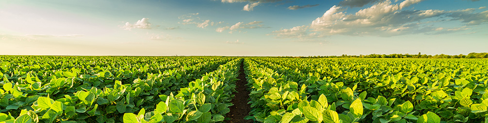 sustainable investing