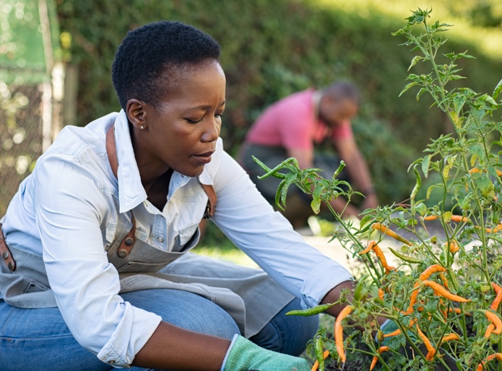 sustainability at allianz