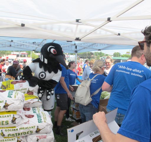 mnufc mascot working at farmers market