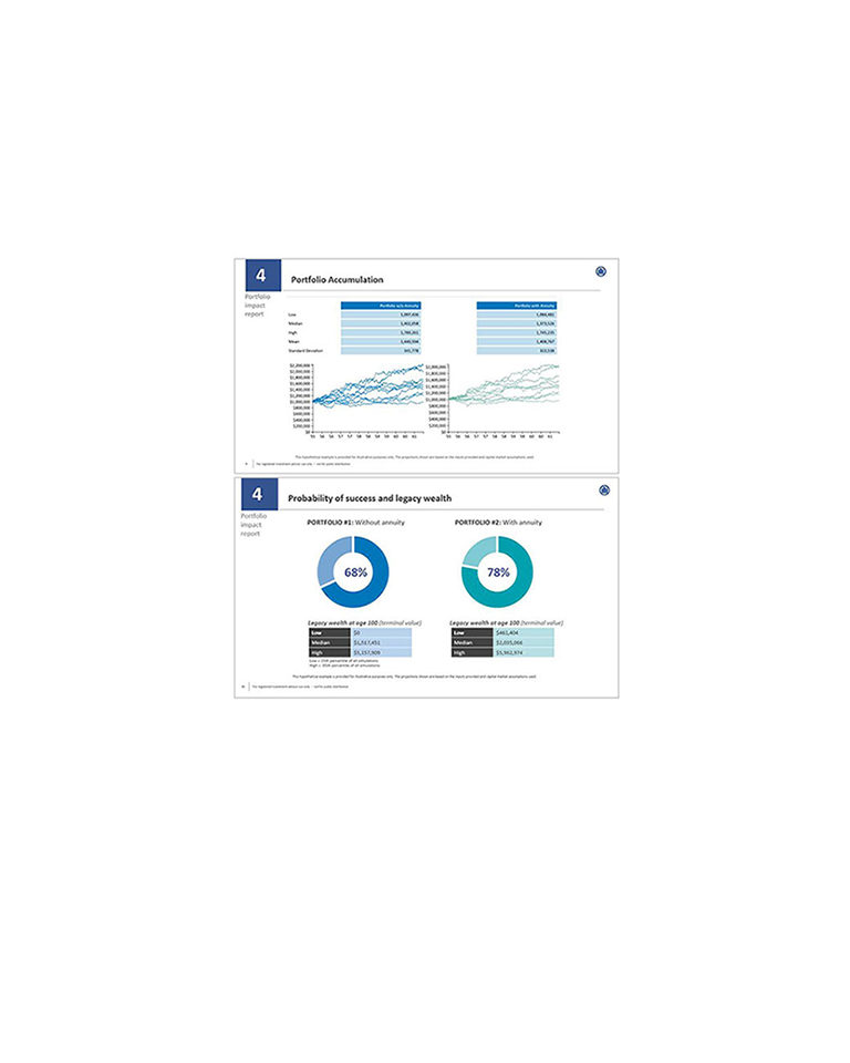 portfolio impact report