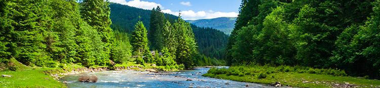 stream