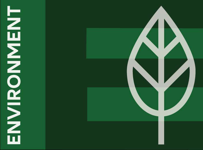 Environment