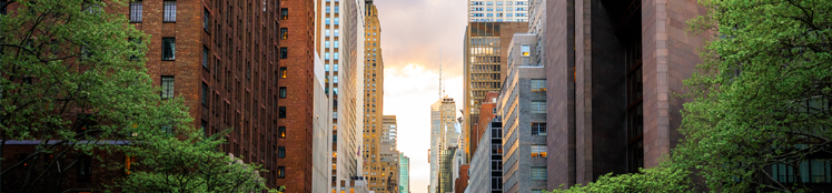 hero_vision_ny